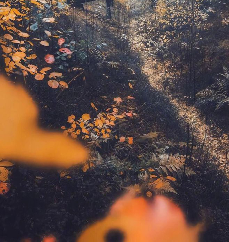 b03568ce34c636b1da626f777771d0398c22a3061670da-VGRWt2_fw658.jpg 海創(chuàng)集成墻面.jpg