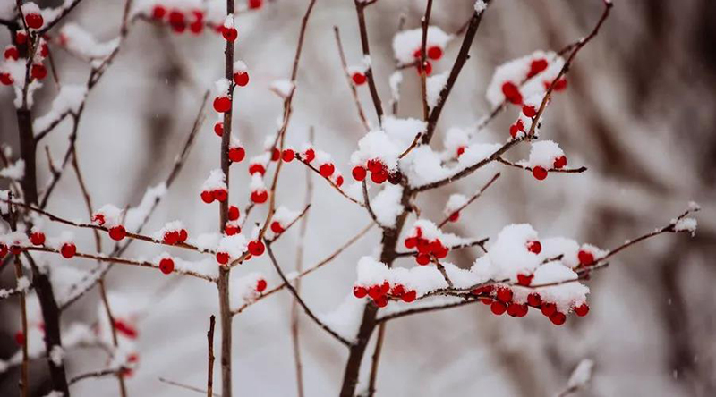 微信圖片_20191221140104.jpg 海創(chuàng)集成墻面.jpg