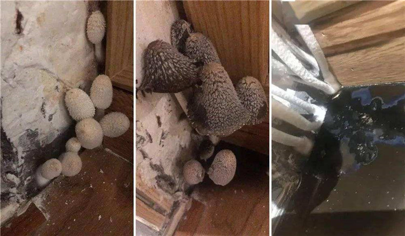 8_副本.jpg 8_副本.jpg